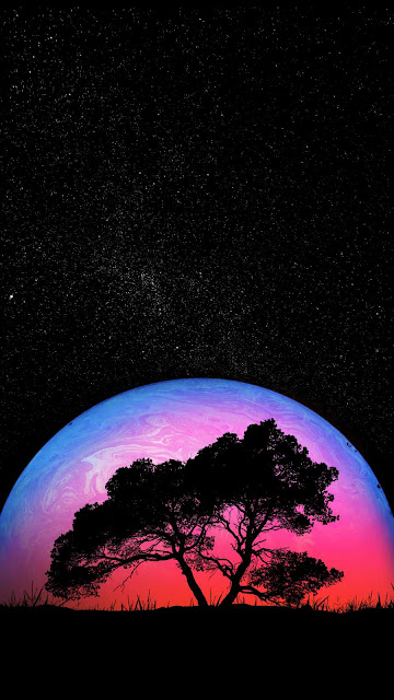 Night moon tree iphone wallpaper.jpg