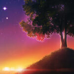 Sunset tree sky scenery digital wallpaper.jpg