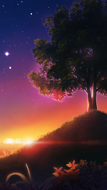 Sunset tree sky scenery digital wallpaper.jpg