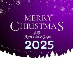 Joyful jingle bells 🎅✨ christmas 2024 new year 2025 wishes