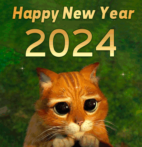 Happy new year 2024 funny cat gif