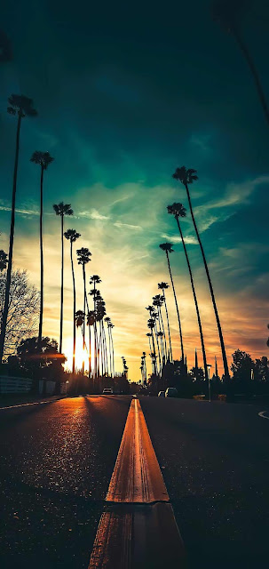 Free Download Phone Wallpaper: Street, Sunset, Palm Trees, Clouds, Sky