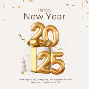 Wishing you joy, prosperity, and happiness in the new year. cheers to 2025!