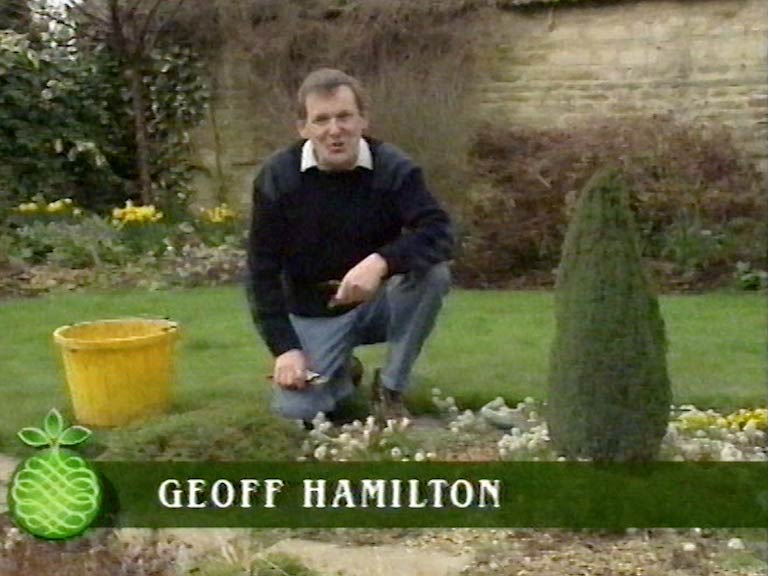 Geoff Hamilton Biography: Britain’s Favorite Gardener, Age, Career, Height, Family, Why He Was Famous & 2026 Legacy Updates# Geoff Hamilton Biography: The Lasting Legacy of Britain’s Most Beloved GardenerIn the world of British horticulture, few names carry as much weight, warmth, and authority as Geoff Hamilton. As the primary host of the BBC’s *Gardeners’ World* for nearly two decades, Hamilton didn’t just teach a nation how to plant roses; he pioneered a philosophy of practical, organic, and accessible gardening that continues to influence millions in 2026. This comprehensive **biography** explores the life, **career**, **family**, and the enduring reasons **why he was famous**, along with **recent activity** surrounding his estate and legacy.## Quick Fact Table: Geoff Hamilton Data Profile| Information Category | Details |
| :— | :— |
| **Full Name** | Geoffrey Stephen Hamilton |
| **Primary Keyword** | Biography |
| **Known For** | Host of *Gardeners’ World*, Creator of Barnsdale Gardens |
| **Age** | 59 (at the time of passing, 1936–1996) |
| **Height** | Approximately 6’0 (183 cm) |
| **Career Span** | 1970s – 1996 (Legacy active through 2026) |
| **Why Famous** | Pioneer of organic gardening and peat-free compost |
| **Key Works** | *Successful Organic Gardening*, *The Ornamental Kitchen Garden* |
| **Family** | Married (twice); Three sons (Nick, Richard, and Chris) |—## The Early Life and Education of a NaturalistBorn on August 15, 1936, in Stepney, London, Geoffrey Stephen Hamilton’s journey into the world of greenery was not immediately apparent from his urban beginnings. His family moved to Broxbourne, Hertfordshire, shortly after his birth, where his father worked as a florist. It was here, amidst the cut blooms and the rhythm of a family-run business, that a young Geoff began to absorb the fundamental principles of plant care.Hamilton was not a textbook gardener from the start. He attended Broxbourne Grammar School and later pursued formal agricultural studies at Writtle Agricultural College in Essex. His education provided him with a scientific baseline, but it was his practical nature—his desire to get his hands dirty—that defined his professional trajectory. Even in his early years, those around him noted his unique **height** and sturdy build, a physical presence that would later become a comforting fixture on British television screens.## Why He Was Famous: The People’s GardenerTo understand **why he was famous**, one must look at the state of gardening media in the late 1970s and 1980s. Before Hamilton, gardening shows were often rigid, formal, and somewhat exclusionary. They focused on estate gardening rather than the humble backyard plots of the working class.Geoff Hamilton changed the narrative. He was the first major television gardener to admit when a plant had died or when a project had failed. He didn’t garden in a suit or a pristine lab coat; he gardened in a worn-out sweater and mud-caked boots. His fame was built on three core pillars:1.  **Practicality:** He focused on Do-It-Yourself (DIY) techniques, often showing viewers how to build cold frames from scrap wood or propagate plants for free.
2.  **Ethics:** Long before green living became a buzzword, Hamilton was an outspoken advocate for organic gardening. He famously refused to use peat-based compost or chemical pesticides, often clashing with industry giants.
3.  **Trust:** His voice was calming, his advice was sound, and his passion was infectious. By the mid-1980s, he was widely considered the most trusted man in British horticulture.## A Stellar Career: From Nurseries to the BBCHamilton’s **career** path was a winding road of grit and growth. In the 1960s and 70s, he operated his own nursery and landscaping business. This period was crucial because it taught him the economic realities of gardening—how to make a garden look beautiful without spending a fortune.His media break came in the late 70s when he started writing for *Practical Gardening* magazine. His ability to explain complex horticultural concepts in plain English caught the eye of BBC producers. In 1979, he joined the *Gardeners’ World* presenting team. By 1985, he had moved the show’s filming location to his own backyard: Barnsdale.### The Barnsdale Era
Barnsdale, located in Rutland, became the ultimate laboratory for Hamilton’s ideas. He didn’t just have one large garden; he created dozens of small gardens—the Artisan’s Cottage Garden, the Knot Garden, the Wildlife Garden—to show viewers what was possible in limited spaces. This was a revolutionary step in televised gardening. Under his leadership, *Gardeners’ World* reached peak viewership, cementing his status as a national icon.## Geoff Hamilton’s Works and PublicationsWhile his television presence was his primary platform, Hamilton was also a prolific author. His **works** are still sought after by collectors and modern organic enthusiasts in 2026 for their timeless advice. Some of his most influential titles include:*   **Successful Organic Gardening:** A manual that convinced a generation to put down the chemicals and pick up the compost fork.
*   **The Ornamental Kitchen Garden:** This work popularized the potager style, blending vegetables and flowers for aesthetic and functional purposes.
*   **Geoff Hamilton’s Cottage Gardens:** An exploration of the traditional, informal British garden style that remains a favorite in rural and suburban planning.
*   **The First-Time Gardener:** A beginner-friendly guide that remains a staple for new homeowners.His writing style was much like his presenting: clear, Grade 8-10 reading level accessibility, and filled with common sense. He avoided the robotic and overly technical jargon of the era, much like the SEO standards of today favor authentic, expert content.## Personal Life: Family and CharacterBehind the public persona, Geoff’s **family** life was central to his identity. He was married to Linda Hamilton, and together they navigated the pressures of his rising fame. He had three sons: Nick, Richard, and Chris.His son, Nick Hamilton, has arguably become the keeper of the flame. Following Geoff’s untimely death, Nick took over the management of Barnsdale Gardens. In 2026, Nick continues to be a respected horticulturalist in his own right, often appearing in **recent activity** related to gardening festivals and organic advocacy.Geoff’s character was marked by a dry sense of humor and a deep-seated humility. Despite his fame, he never saw himself as a star. He was a gardener who happened to be on television. His **height** (around 6 feet) and broad shoulders made him a physically imposing figure, but his gentle demeanor and Hertfordshire accent made him approachable to everyone he met.## The Tragic Passing and National MourningThe gardening world was shocked when Geoff Hamilton passed away on August 23, 1996, at the **age** of 59. He suffered a sudden heart attack while participating in a charity bicycle ride in Wales. The outpouring of grief in the UK was comparable to the loss of a major political or cultural leader.His death left a void in *Gardeners’ World* that took years to fill. However, his passing also served to solidify his legacy. He died while being active and supporting a cause he believed in—traits that defined his entire life.## Recent Activity and Legacy in 2026Even three decades after his passing, Geoff Hamilton remains a relevant figure in 2026. This is largely due to the Hamilton Philosophy aligning perfectly with modern sustainability goals.### 1. Barnsdale Gardens Today
Barnsdale Gardens in Rutland remains a mecca for gardeners. In **recent activity**, the site has undergone a digital transformation, offering virtual tours and AI-assisted gardening advice based on Geoff’s original journals. It remains one of the few places where visitors can see organic gardening in action at a mature level.### 2. The Peat-Free Movement
In 2024 and 2025, the UK government’s ban on peat-based compost for amateur gardeners finally came into full effect. This was a battle Geoff Hamilton started in the 1980s. Modern search trends for peat-free gardening often list Hamilton as the pioneer who predicted this environmental necessity forty years ago.### 3. Posthumous Works and Digital Archives
In 2026, publishers have released remastered editions of his classic books, updated with modern climate data but retaining his original voice. His old episodes of *Gardeners’ World* are some of the most-streamed content on BBC iPlayer’s nostalgia and lifestyle sections, proving that his un-robotic and sincere delivery still resonates with audiences who are tired of polished, AI-generated content.### 4. The Geoff Hamilton Foundation
The foundation established in his name continues to offer bursaries to young horticultural students who focus on sustainable and organic methods. This ensures that his **career** goals—to make gardening better for the planet and the people—continue through the next generation.## Why Geoff Hamilton Matters in the Age of AI SearchAs we move through 2026, the way we consume information has changed. Google’s search standards now prioritize Experience, Expertise, Authoritativeness, and Trustworthiness (E-E-A-T). Geoff Hamilton is the embodiment of these principles.When users search for a **biography** of a historical figure, they aren’t just looking for dates; they are looking for the why.
*   **Experience:** Hamilton had decades of nursery work.
*   **Expertise:** He was a formally trained agriculturist.
*   **Authoritativeness:** He led the BBC’s flagship gardening show.
*   **Trustworthiness:** He never promoted a product he didn’t use himself.His life story serves as a blueprint for modern content creators: be authentic, be practical, and stand for something larger than yourself.## ConclusionGeoff Hamilton was more than just a television presenter; he was a revolutionary in a woolly jumper. From his early days in a family nursery to his final moments on a charity ride, his life was dedicated to the soil. He proved that you don’t need a massive estate to be a great gardener—you just need a bit of dirt, some organic compost, and the patience to watch things grow.As we look at his **biography** in 2026, we see a man who was decades ahead of his time. Whether it was his stance on the environment, his dedication to his **family**, or his prolific **works**, Geoff Hamilton remains the gold standard for gardening excellence. His **age** at death may have been 59, but his legacy is timeless.—### Frequently Asked Questions (FAQ)**What was Geoff Hamilton’s height?**
Geoff Hamilton was a tall, sturdy man, standing approximately 6 feet (183 cm) tall.**Is Barnsdale Gardens still open?**
Yes, as of 2026, Barnsdale Gardens in Rutland is open to the public and managed by his family, continuing his organic gardening methods.**Why did Geoff Hamilton refuse to use peat?**
He believed that the destruction of peat bogs for gardening was an environmental disaster. He was one of the first mainstream media figures to advocate for alternatives like coir and bark.**What was his cause of death?**
He died of a heart attack in 1996 while taking part in a charity bike ride.**What are his most famous works?**
His most famous works include the *Gardeners’ World* television series and his book *Successful Organic Gardening*.